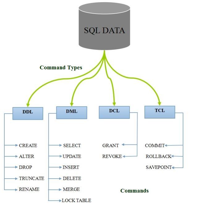 command types in SQL DataBase
